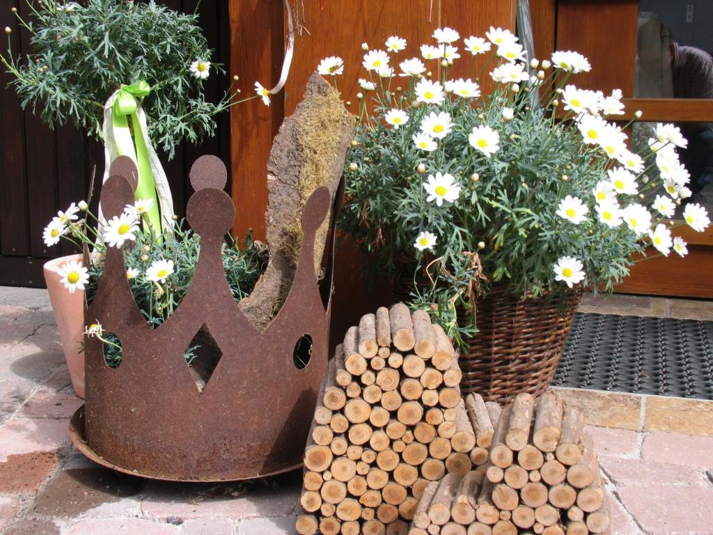 Hotel Kimmig Bad Peterstal-Griesbach Esterno foto